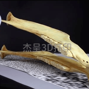 3D扫描技术在文化遗产保护中的应用