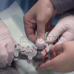 微信截图_20231209112514