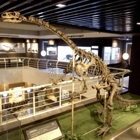 禄丰龙3D骨架模型成功问世