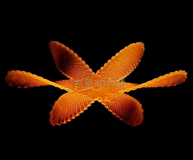 微信截图_20231226104807