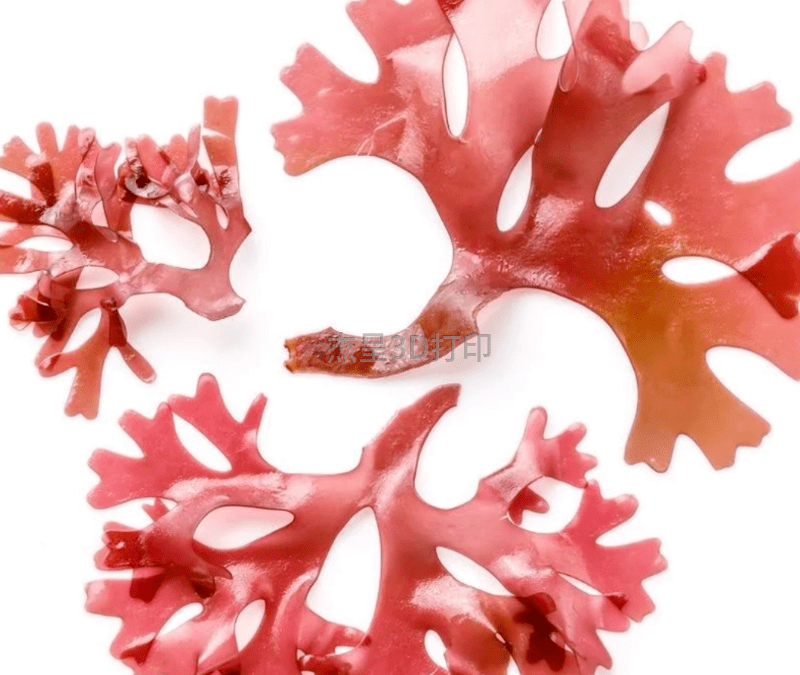 微信截图_20231226114419 微信截图_20231226114419