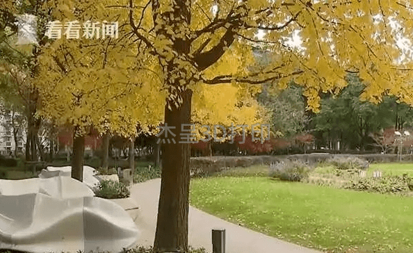 微信截图_20231227154223