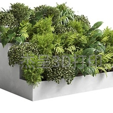 微信截图_20240927094150