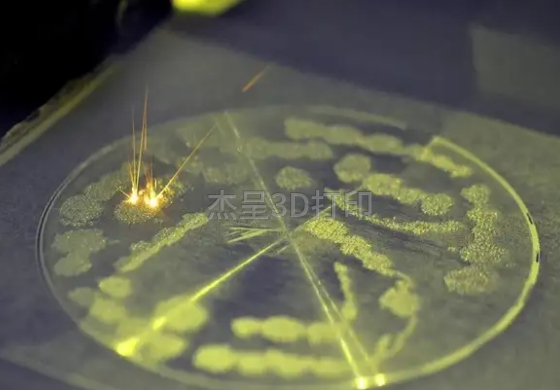 微信截图_20250215171850