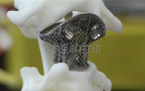 微信截图_20250217160402