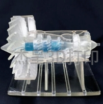 微信截图_20250219100526