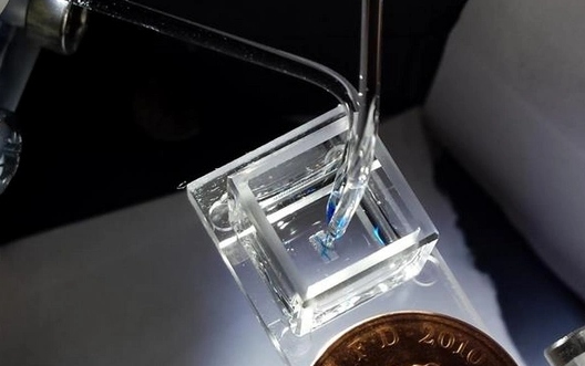 全液体3D打印技术帮助柔性电子应用实现新进展