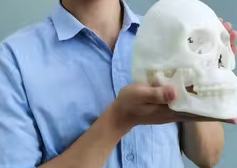 广州头骨3d打印为什么能成为医学教育解剖的实用工具？